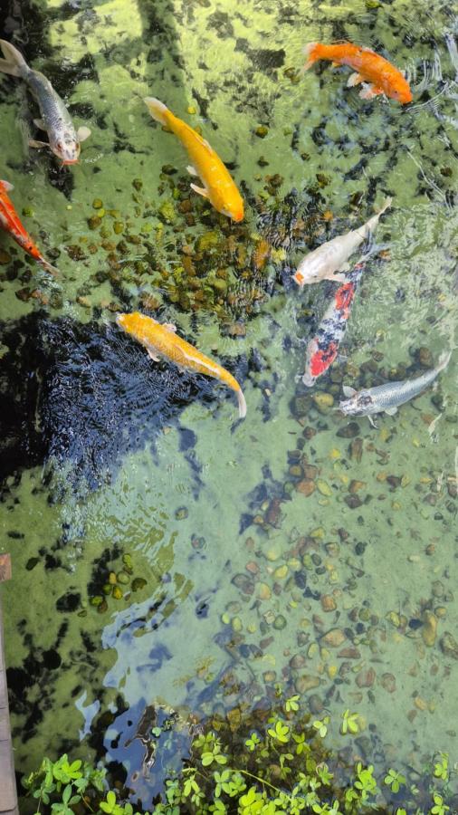 Apartamento, 5 quartos, 367 m² - Foto 6